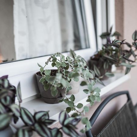 Apartman Centar ドボイ エクステリア 写真