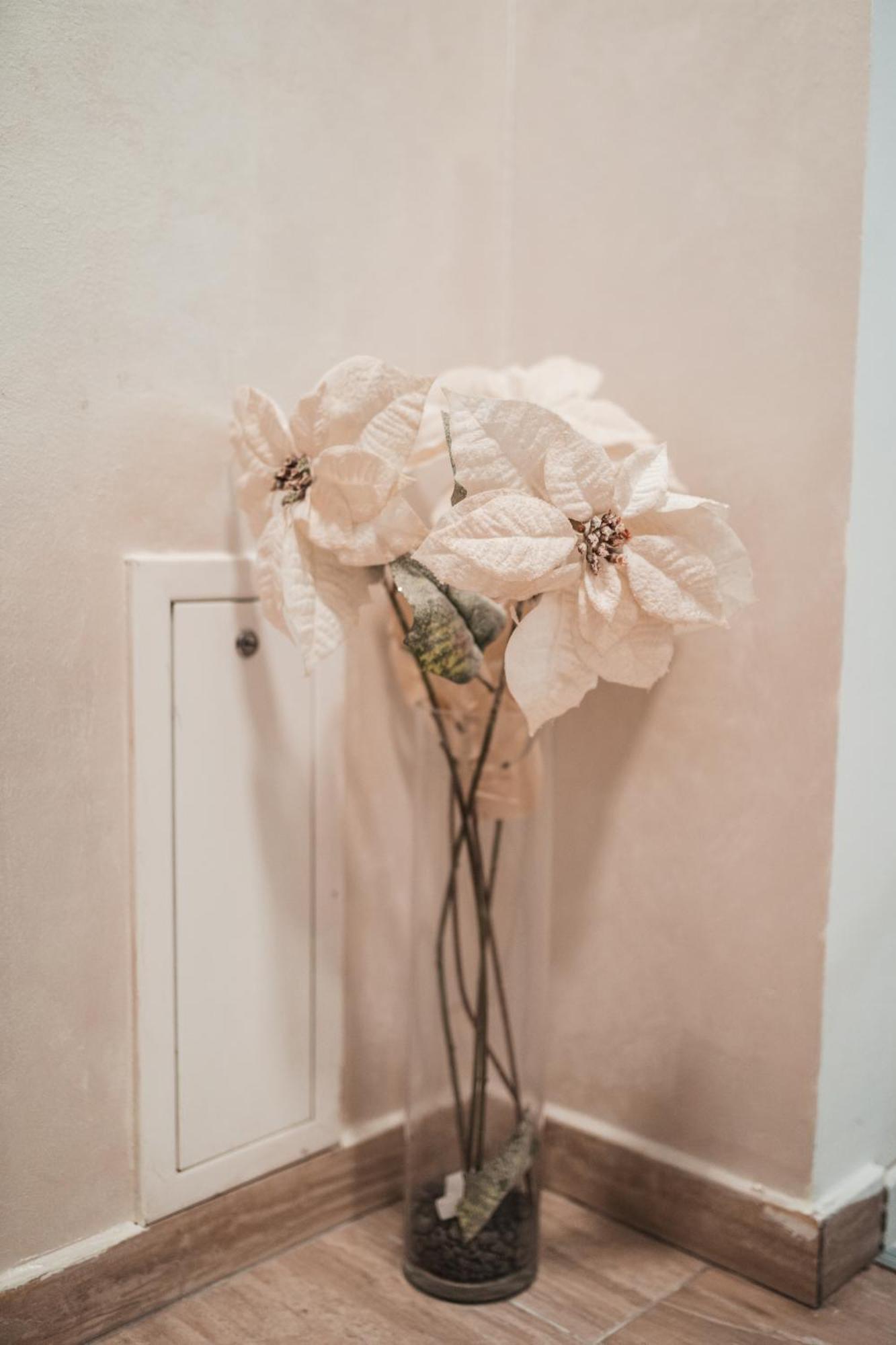 Apartman Centar ドボイ エクステリア 写真